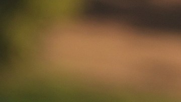 Los Angeles Mayor Karen Bass walks with a federal agent at MacArthur Park Monday, July 7, 2025, in Los Angeles. (AP Photo/Damian Dovarganes)