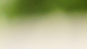 Alejandro Barranco es uno de los tres hijos de Narciso Barranco que son Marines.