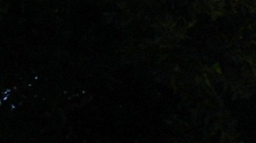 Alejandro Barranco arrives at the Metropolitan Detention Center to check on his father Narciso, who was recently detained by federal agents, on Monday, June 23, 2025, in Los Angeles. (AP Photo/Damian Dovarganes)