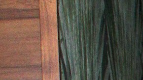 ¡Alfredo Adame tiene nueva novia!