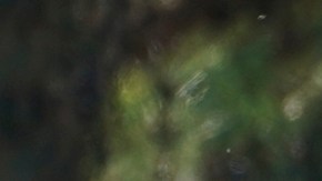 A forensic investigator leaves the home of Bishop David O'Connell in Hacienda Heights, Calif., Sunday, Feb. 19, 2023. O'Connell was shot and killed Saturday just blocks from a church, a slaying of a longtime priest hailed as a “peacemaker” that's stunned the Los Angeles religious community, authorities said. Detectives are investigating the death as a homicide, according to the Los Angeles County Sheriff's Department. (AP Photo/Damian Dovarganes)