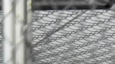 El anuncio se produce poco después de la apertura de “Alligator Alcatraz” de Florida, un nuevo centro de detención de inmigrantes.