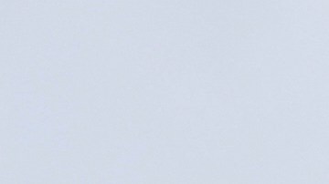 Gobierno intenta frenar demanda de grupos ambientalistas que buscan suspender la conclusión de las obras del centro "Alligator Alcatraz"