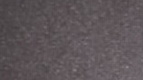 Ana Brenda Contreras