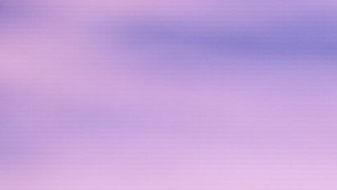 Andrew Yang, exaspirante demócrata a la presidencia