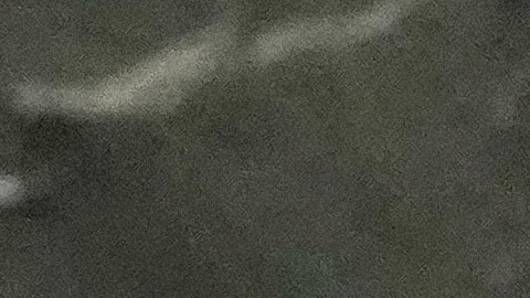 Ministra canadiense Anita Anand, reiteró el respaldo de Canadá a la creación de un Estado palestino.