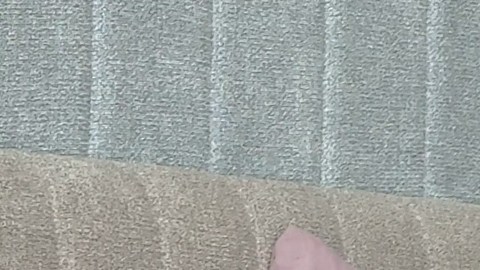 Primera pastilla para la apnea obstructiva del sueño por hacerse realidad