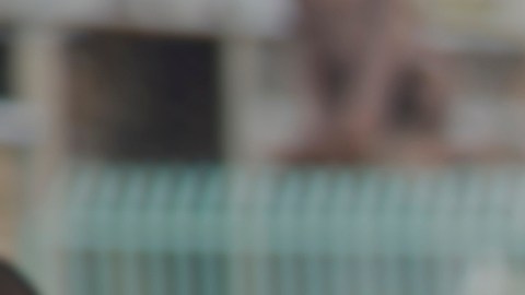 In this Tuesday, Feb. 7, 2017, photo released by U.S. Immigration and Customs Enforcement shows foreign nationals being arrested this week during a targeted enforcement operation conducted by U.S. Immigration and Customs Enforcement (ICE) aimed at immigration fugitives, re-entrants and at-large criminal aliens in Los Angeles. Immigrant advocates on Friday, Feb. 10, 2017, decried a series of arrests that federal deportation agents said aimed to round up criminals in Southern California but they believe mark a shift in enforcement under the Trump administration. (Charles Reed/U.S. Immigration and Customs Enforcement via AP)