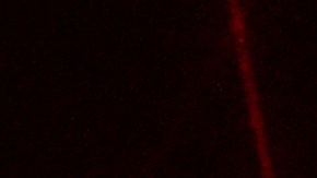 Bad Bunny desafía a Trump y defiende a los inmigrantes en su videoclip ‘NuevaYol’