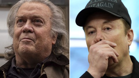 Steve Bannon y Elon Musk