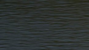 Barrera de boyas instalada sobre el Río Grande