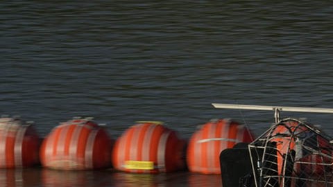 Barrera de boyas instalada sobre el Río Grande