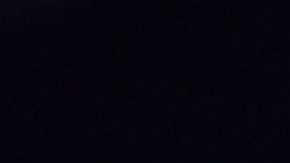 Camarón Zepeda y Shakur Stevenson.