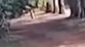 Campo de entrenamiento del narco