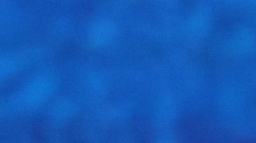 Canelo Álvarez y Terence Crawford