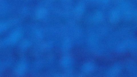 Canelo Álvarez y Terence Crawford