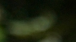 Chris Brown niega nuevos cargos por agresión en caso de Londres