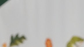 Claudia Sheinbaum, presidenta de México