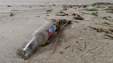 Entre los residuos hallados, los envases de bebidas, principalmente botellas y tapones de plástico, fueron los más frecuentes.