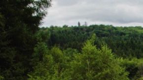 Corvette Z06, ZR1 y ZR1X en el circuito de carreras Nürburgring