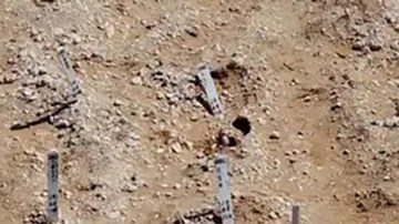 Crisis forense en México