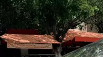 Cybertruck