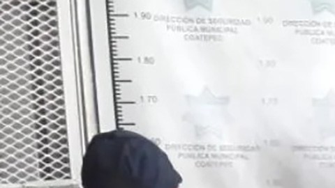 Detenido en Veracruz