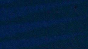 Edgar Vivar defiende a Florinda Meza tras polémica por bioserie de Chespirito