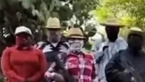 Ejército Purépecha de Libertad Mexicana