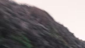 El Tesla Model 3 rompe barreras