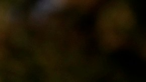 Ellen DeGeneres lo admite: La reelección de Trump la impulsó a dejar EE.UU. por el Reino Unido