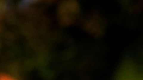 Ellen DeGeneres lo admite: La reelección de Trump la impulsó a dejar EE.UU. por el Reino Unido