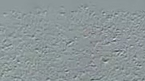 Estes Carter Thompson III