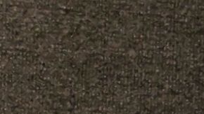 Eugenio Derbez Moni Vidente