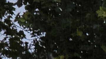 Los planes para eliminar FEMA han generado preocupación entre los administradores de emergencias federales y estatales.