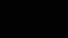 La nueva exposición enseña la rica cultura e historia de los felinos en todo el mundo.