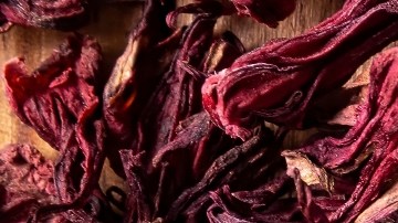 La flor de Jamaica sirve más que para una bebida