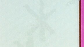 Florinda Meza desmiente rumores: "No he interpuesto demanda contra la serie de Chespirito"