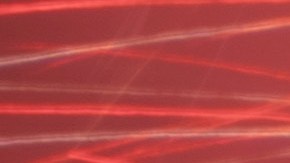 El pronóstico de viajes nacionales de este año representa un aumento de 1.7 millones de viajeros en comparación con el año pasado.