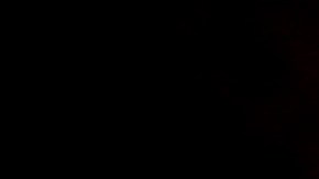 Fans watch Independence Day fireworks after a baseball game between the Los Angeles Dodgers and the Arizona Diamondbacks in Los Angeles, Tuesday, July 4, 2017. (AP Photo/Chris Carlson)