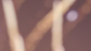 Fuegos artificiales del 4 de julio