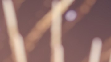 Fuegos artificiales del 4 de julio