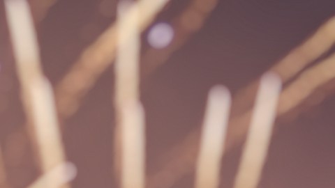 Fuegos artificiales del 4 de julio