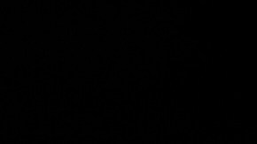 Desde el 7 de octubre de 2023, al menos 59.219 palestinos murieron y 143.045 resultaron heridos.