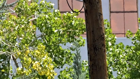 An entrance to the Grand Sierra Resort is closed off during the investigation of a shooting that occurred at the resort in Reno, Nev., Monday, July 28, 2025. (AP Photo/Andy Barron)