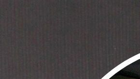 Gustavo Adolfo Infante Marco Chacón Maribel Guardia