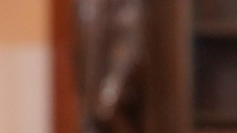 Sheinbaum celebra acuerdo con Trump de aplazar 90 días la aplicación de aranceles