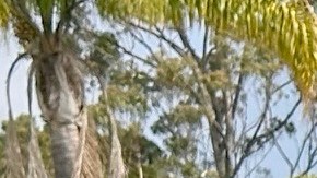 María y su hijo hablan del arresto de su esposo y padre cuando trabajaba en un lavado de autos en la ciudad de Torrance.