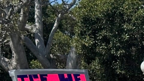 Angélica Salas, líder de CHIRLA alza la voz contra las redadas migratorias.