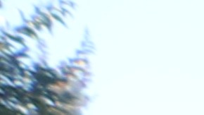 Un evento en Bell aparece casi vacío.